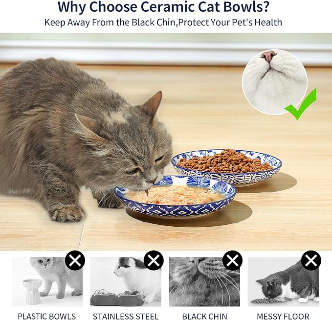 Selamica Ceramic Cat Bowls, 6 Inch Wide Shallow Cat Food Bowl for Relief Whisker Fatigue, Set of 4, Vintage Blue