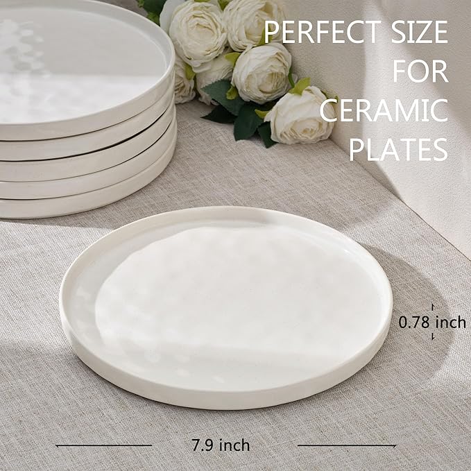 LIANYU Dinner Plates Set of 6, 7.9 Inch Large Ceramic Dessert Plate for Kitchen, Porcelain Serving Dishes for Salad Appetizer Cake Bread, Scratch Resistant, Microwave & Dishwasher Safe, Polar White