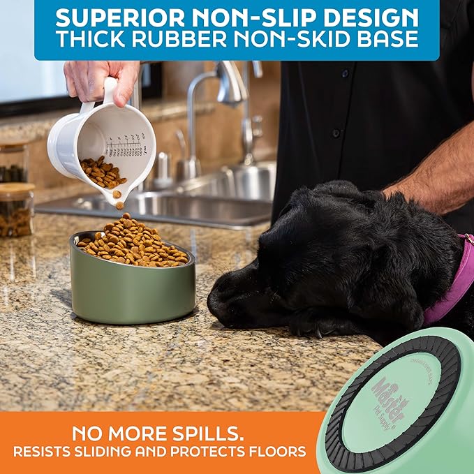 Master Pet Supply Stainless Steel Slanted Dog Cat Food Bowl - 24 oz Heavy Duty - Pistachio, Double Wall Insulated, Non-Slip Elevated Bowl for French Bulldogs Pugs Cats, Anti Rust Dishwasher Safe