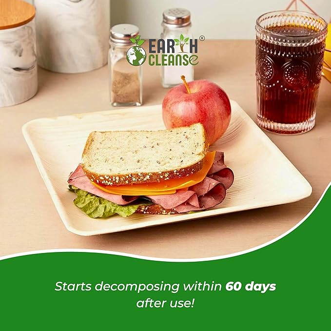Compostable Palm Leaf Plates 9 Inch Square (200 Pack) | Disposable Biodegradable Plates Like Bamboo & Wooden | Microwave & Oven Safe | Eco-Friendly