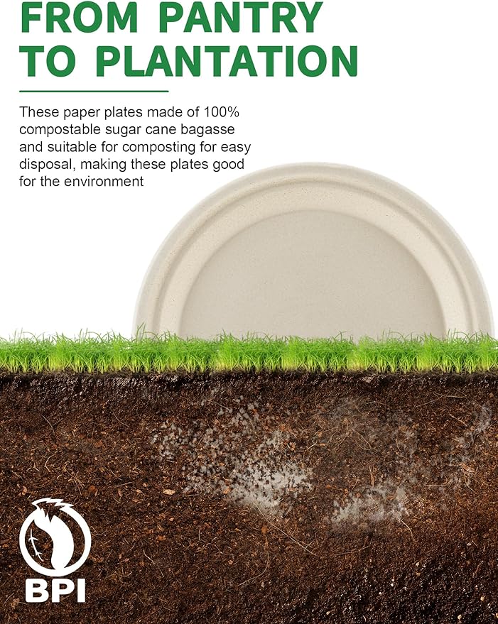 100% Compostable 10 Inch Large Paper Plates [100 Pack Bulk] - Heavy Duty & Leak-Resistant Disposable Plates Made of Sugarcane Bagasse | Perfect for Dinner, Catering, Parties, Wedding & Birthday