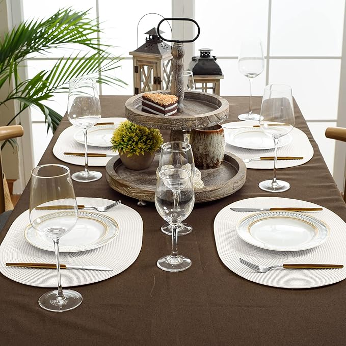 FunWheat Oval Braided Placemats Set of 6 Table Mats for Dining Tables Woven Washable Non-Slip Shining Place mats12x18 Inch Table mats for Indoor Outdoor Use((Oval White, 6pcs)