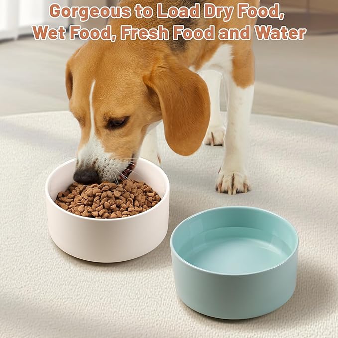 Dog Bowls, Non Slip Heavy Ceramic Dog Food and Water Bowl with Silicone Base, Pet Feeding Bowl for Puppies, Small and Medium Dogs (Glossy Light Green, 6 Inches)
