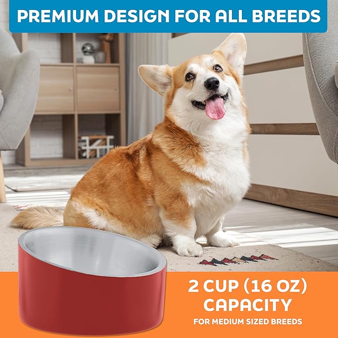 Master Pet Supply Stainless Steel Slanted Dog Cat Food Bowl - 16 oz Heavy Duty - Crimson Flame, Double Wall Insulated, Non-Slip Elevated Bowl for French Bulldogs Pugs Cats, Anti Rust Dishwasher Safe
