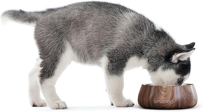Sipworks Stainless Steel Dog Bowl – 32oz Weighted Metal Food and Water Bowls for Dogs and Cats with Non-Slip Base - Pet Bowls for All Breeds Sizes for Travel & Outdoor Play | Lavender Gray