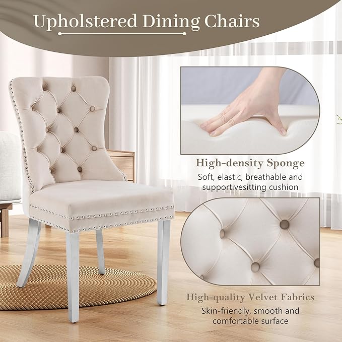 KCC Velvet Dining Chairs Set of 2, Upholstered High-end Tufted Dining Room Chair with Nailhead Back Ring Pull Trim Stainless Steel Legs, Contemporary Nikki Collection Modern Style for Kitchen, Beige