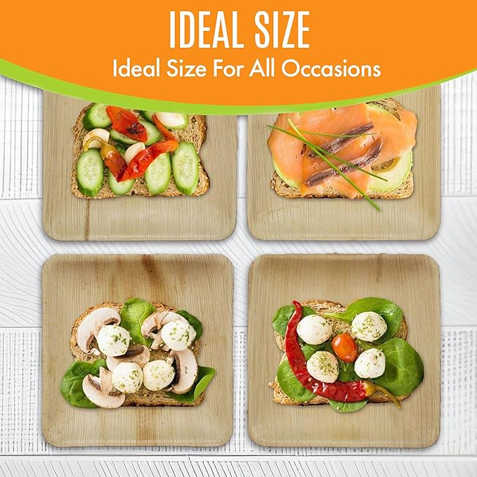 Raj Eco Compostable Palm Leaf Plates Like Bamboo Plates Disposable - 8 Inch Square 50 party plates, Natural wooden, Eco-Friendly, fancy Biodegradable & Disposable Dessert appetizer Plates