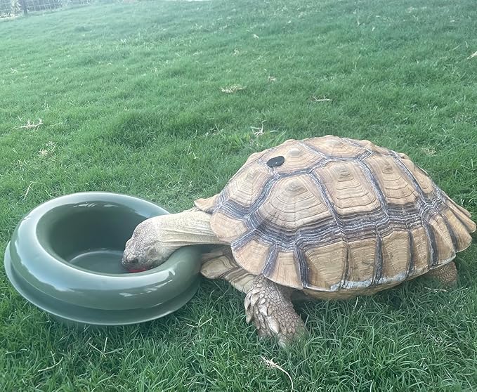 The Mote - ant Proof Dog Bowl, Innovative Waterless System, Durable & Maintenance-Free, Simple Design Effectively Keeps Ants Out, for Dogs, Cats, and More (Tan)