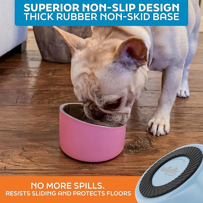 Master Pet Supply Stainless Steel Slanted Dog Cat Food Bowl - 8 oz Heavy Duty - Glacier Blue, Double Wall Insulated, Non-Slip Elevated Bowl for French Bulldogs Pugs Cats, Anti Rust Dishwasher Safe