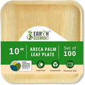 Compostable Palm Leaf Plates 10 Inch Square (100 Pack) | Disposable Biodegradable Plates Like Bamboo & Wooden | Microwave & Oven Safe | Eco-Friendly