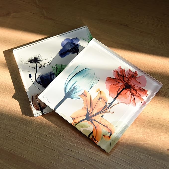 Empire Art Direct Flower Coasters for Drinks for Tabletop Protection Drink Coasters Set Glass Floral Sets of 12 with Cork Bottom by Albert Koetsier B1