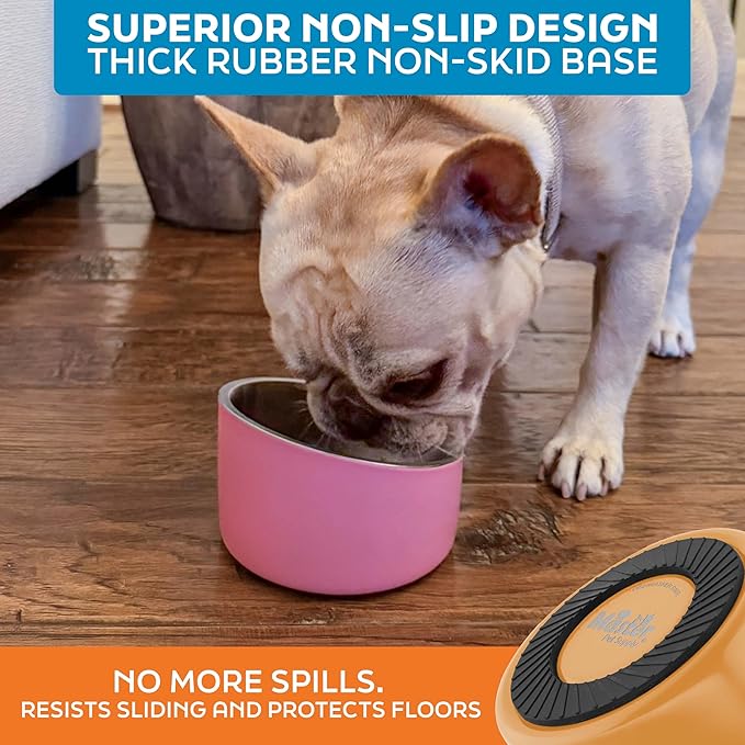 Master Pet Supply Stainless Steel Slanted Dog Cat Food Bowl - 8 oz Heavy Duty - Mango Tango, Double Wall Insulated, Non-Slip Elevated Bowl for French Bulldogs Pugs Cats, Anti Rust Dishwasher Safe