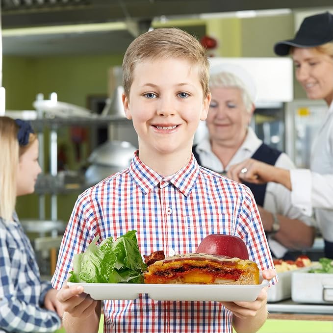 Vplus 500 Pack 5 Compartment Plates, 100% Compostable Paper Plate, 10.25x8.5 inch Disposable School Lunch Trays, Eco-Friendly Bagasse Plates for School Lunch, Buffet, and Party, Perfect for Kids