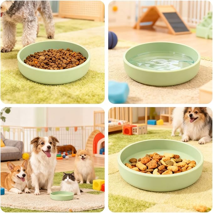 Silicone Cat Bowl Set of 2 Shallow Cat Dishes Small Non-Slip Pet Dog Bowls for Dry & Wet Food, Whisker Fatigue (Round Green)