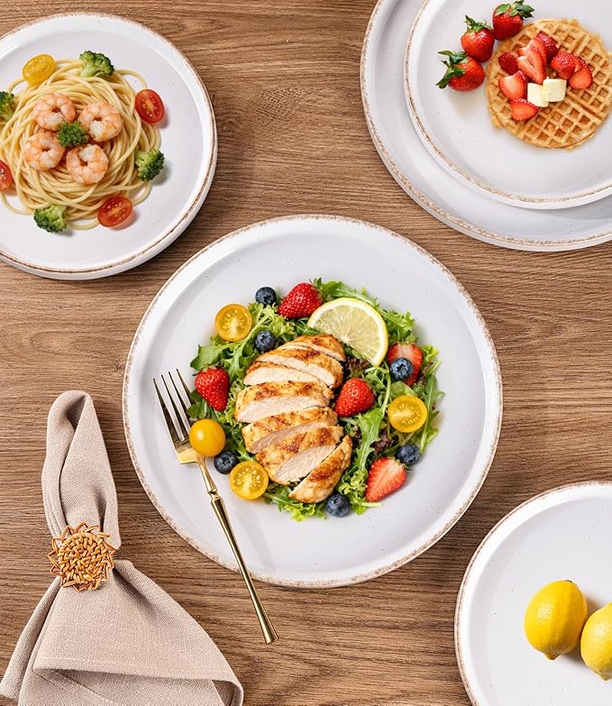 AmorArc Ceramic Dinnerware Sets for 8, 24 Pieces Handpainted Plates and Bowls Set with Rustic Terracotta Underside, Scratch Resistant Stoneware Dishes Set, Dishwasher & Microwave Safe