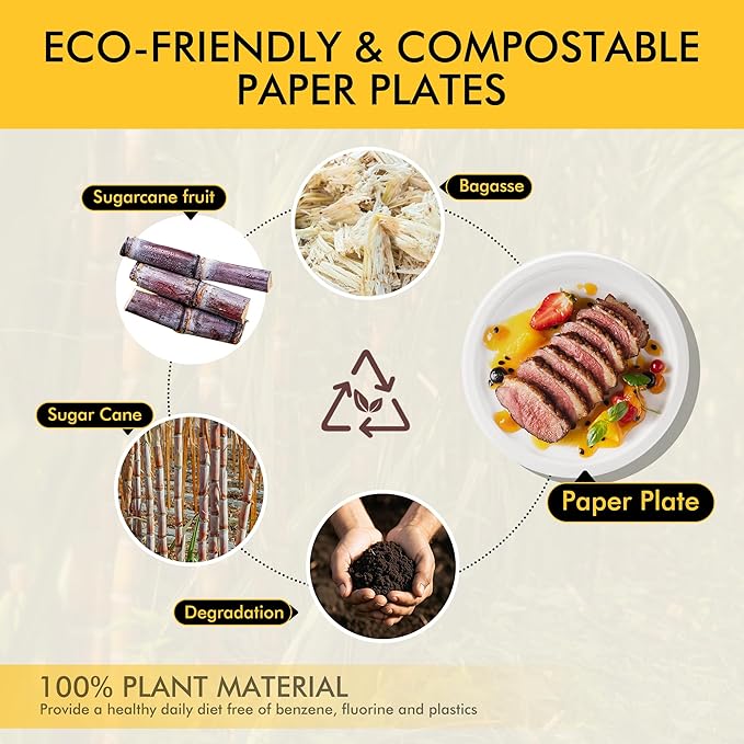 RACETOP Compostable Small Paper Plates 6 Inch [300 Pack], Disposable Biodegradable Heavy Duty Paper Plates, Made of Natural Sugarcane Fibers, Unbleached White, Round