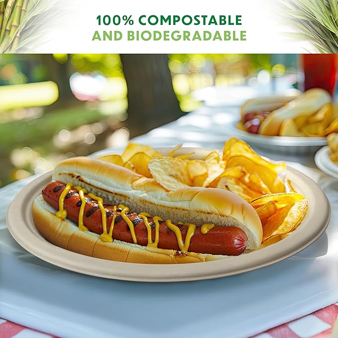 Compostable Plates, Disposable Heavy Duty Paper Plates - [125 Count] 9 Inch, Unbleached Biodegradable, Made of Natural Sugarcane Bagasse, Brown, For Everyday Use Meals, Dinner, Party, Eco-Friendly
