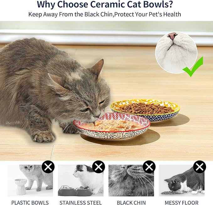 Selamica Ceramic Cat Bowls, 6 Inch Wide Shallow Cat Food Bowl for Relief Whisker Fatigue, Set of 4, Assorted Colors