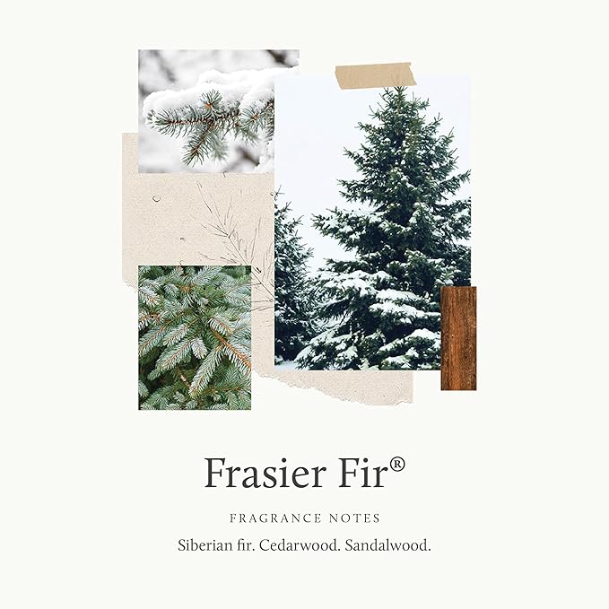 Thymes Frasier Fir Pine Needle Candle – Holiday Candles for Home Scented with Notes of Crisp Siberian Fir, Cedarwood & Sandalwood – Christmas Decor – Christmas Gifts for Women & Men (2 oz)