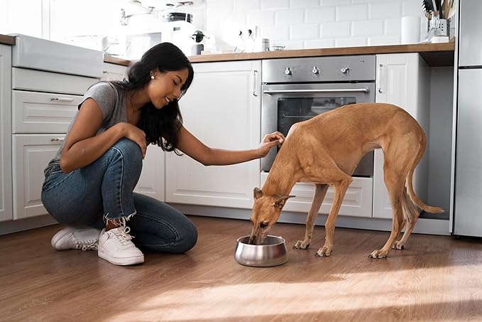 Stainless Steel Dog Bowl – 32oz Weighted Metal Food and Water Bowls for Dogs and Cats with Non-Slip Base - Pet Bowls for All Breeds Sizes for Travel & Outdoor Play - Midnight Black