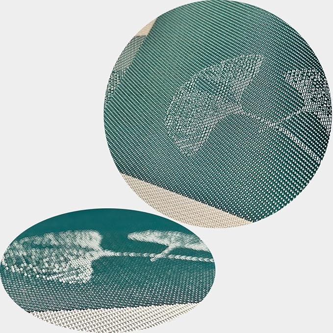 Placemats Set of 6 Vinyl Heat-resistand Kitchen Table Setting Mats Washable Table Mats （Ginkgo Green）