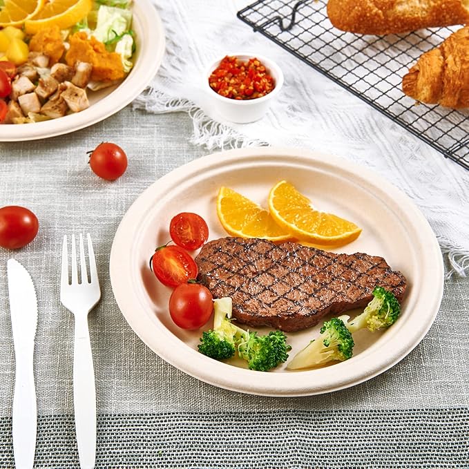 Vplus 500 Pack Paper Plates 9 inch 100% Compostable, Heavy-Duty Disposable Paper Plates Bagasse Natural Biodegradable Eco-Friendly Sugarcane（Nature）