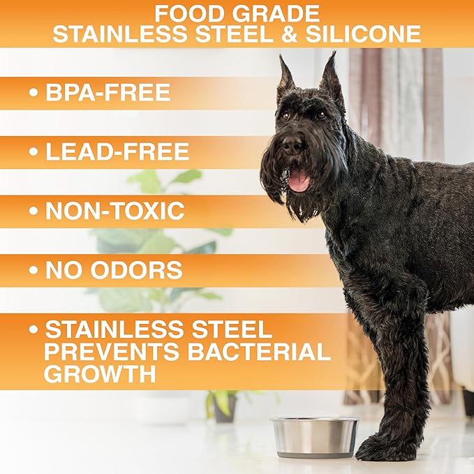 Neater Pet Brands Stainless Steel Dog Bowls with Non-Slip Rubber Bottom – Set of 2, 6 Cup (48 oz), Gray - Heavy Duty Metal Dog Bowl, Dishwasher Safe, Food or Water Bowl, Ideal for Large Dogs