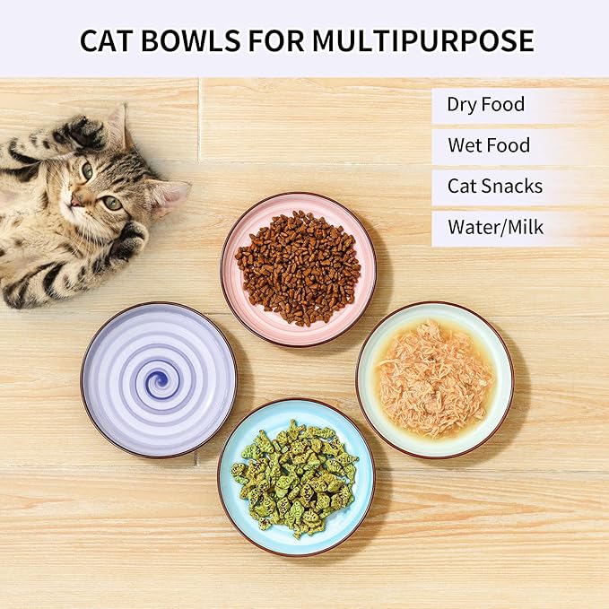 Selamica Ceramic Cat Bowls, 6 Inch Cat Food Bowl Whisker Friendly, Shallow Wide Kitten Plates for Food and Water, Set of 4, Gradient Colors