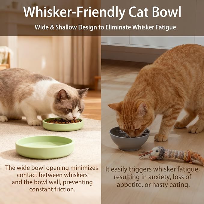 Silicone Cat Bowl Set of 2 Shallow Cat Dishes Small Non-Slip Pet Dog Bowls for Dry & Wet Food, Whisker Fatigue (Round Green)