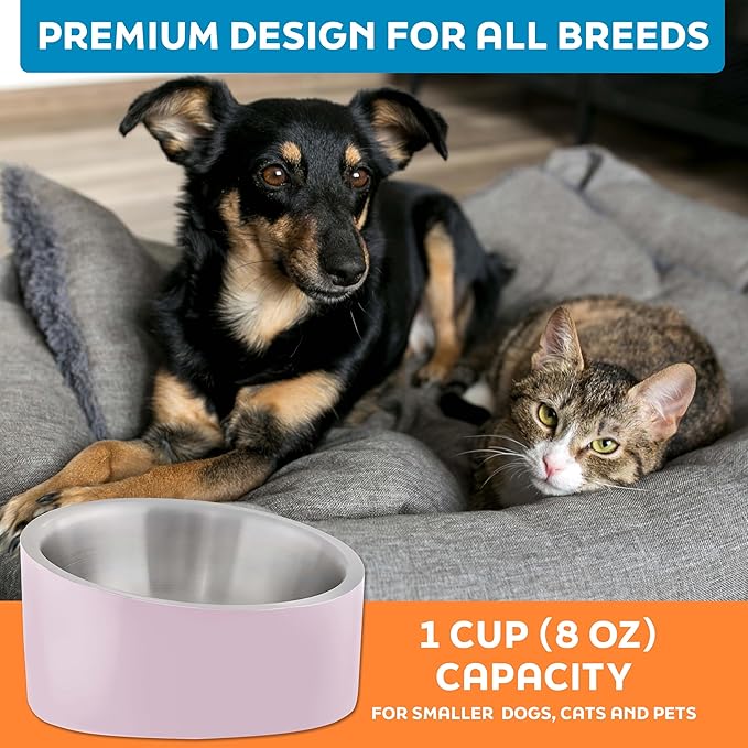 Master Pet Supply Stainless Steel Slanted Dog Cat Food Bowl - 8 oz Heavy Duty - Rose Quartz, Double Wall Insulated, Non-Slip Elevated Bowl for French Bulldogs Pugs Cats, Anti Rust Dishwasher Safe