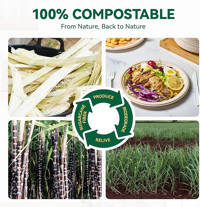 JOLLY CHEF 100% Compostable Paper Plates, 150 Pack 9 Inch Heavy Duty Plates, Disposable Biodegradable Eco-Friendly Sugarcane, Bulk Nature