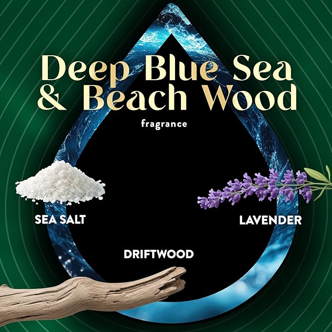 Air Wick Vibrant Scented Oils Plug In Scented Oil Refill, Infused with Essential Oils, Plug In Air Fresheners for Home, Blue Sea & Beach Wood, 4 ct