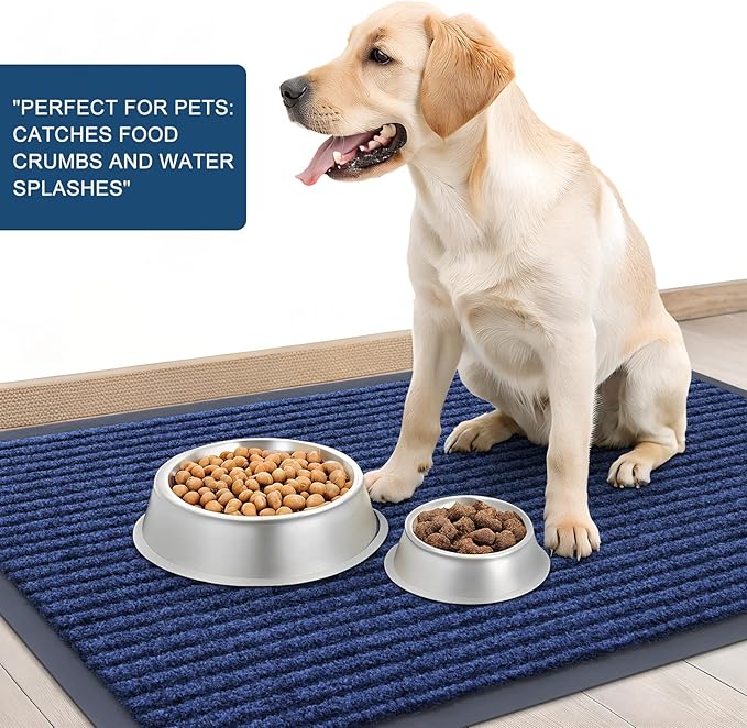 OLANLY Front Door Mat Indoor Outdoor Entrance, Waterproof Heavy Duty Doormat, Fade Resistant, Low Profile, Easy Clean Patio Porch Welcome Floor Mats for Entry, 71x34, Blue