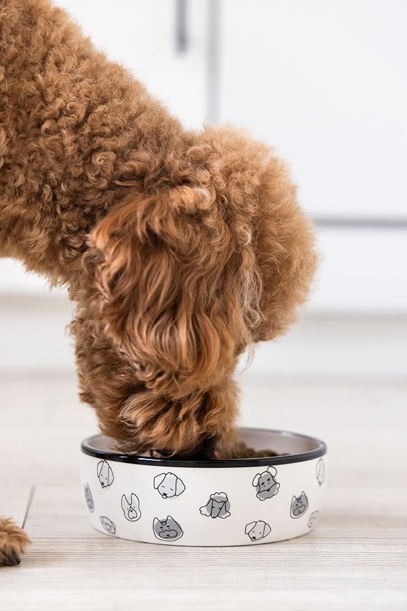 Pearhead Ceramic Dog Faces Dog Bowl, Holds 2 Cups, Stoneware Food and Water Dish for Dogs up to 20 lbs, Heavy Non-Slip Base, Small/Medium
