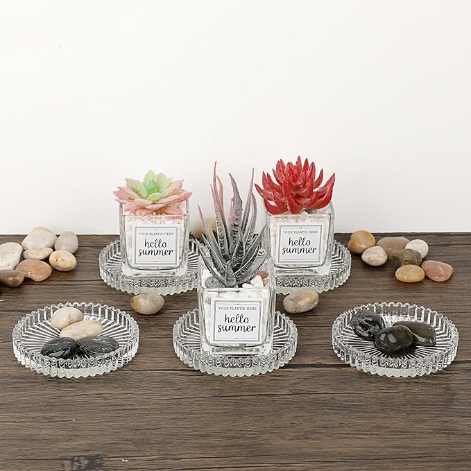 JUXYES 5 Pack Glass Coasters Round Cup Mat, Clear Glass Coaster for Drinks Coffee Tea Wine, Decorative Wine Bottle Coasters, Crystal Drink Coasters for Restaurant bar Kitchen Dining Table