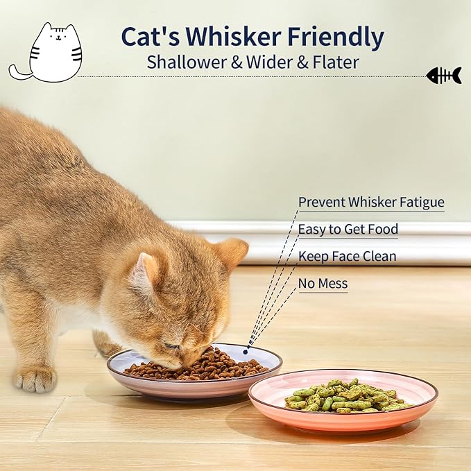 Selamica Ceramic Cat Food Bowl, 6 Inch Cat Bowls Whisker Friendly, Shallow Wide Kitten Plates for Food and Water, Set of 6, Gradient Color