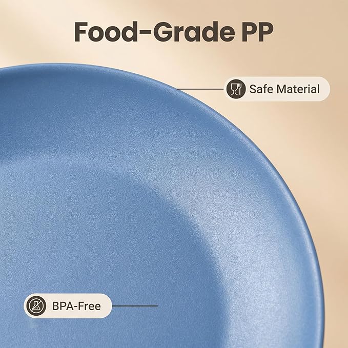 Plastic Dinner Plates Reusable, Unbreakable Salad Plates 10 inch set of 12, BPA Free Dishwasher & Microwave Safe Party Plate for Kids Kitchen Camper Outdoor (Grey Stone)