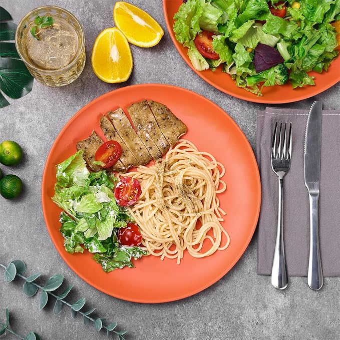 TP 10" Plate Set, 6-Piece Melamine Round Dinner Plates, Unbreakable Weighty Serving Dishes for Home, Outdoor Party, Restaurants, Orange
