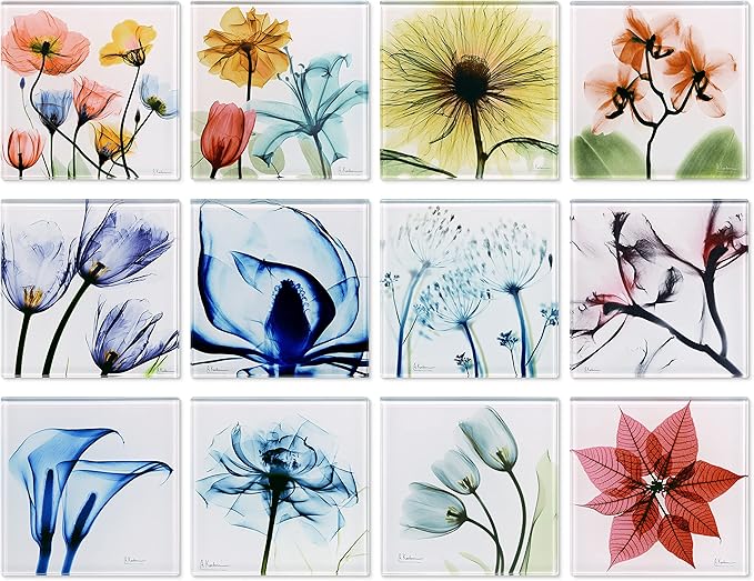 Empire Art Direct 12 PCS Flower Coasters for Drinks, Cup Coaster for Tabletop Protection, Coffee Table Coaster Set, Glass Floral Coasters Set with Cork Bottom by Albert Koetsier B3
