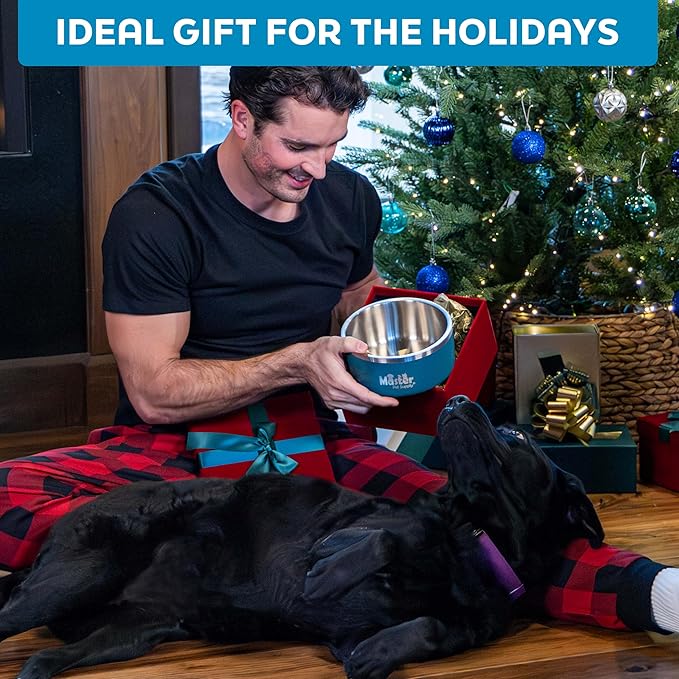 Master Pet Supply Stainless Steel Dog Bowls - 64 oz, Heavy Duty - Stainless Steel, Double Wall Extra-Thick Insulated, Non-Slip Pet Water Bowl for Dogs, Cats & Pets, Anti Rust Metal, Dish Washer Safe