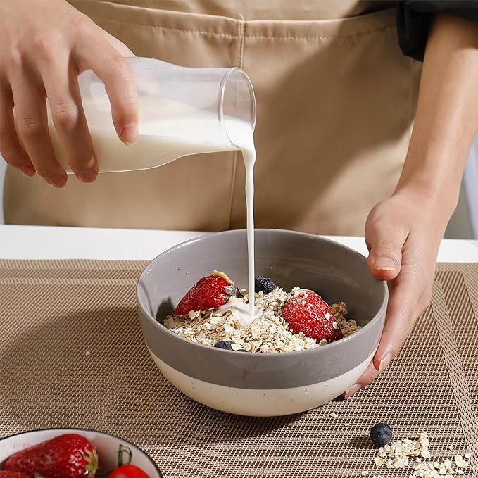 AISBUGUR Cereal Bowls Set of 4, 26oz Large Soup Bowls for Kitchen, Ceramic Bowls for Oatmeal, Salad, Pasta, Soup, Dessert, Serving Bowls Dishwasher & Microwave Safe, Grey