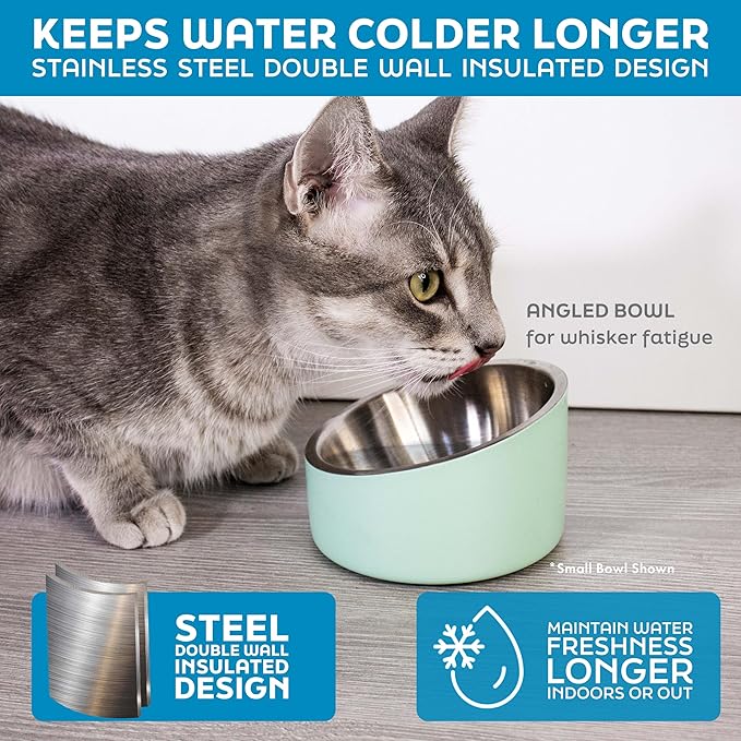 Master Pet Supply Stainless Steel Slanted Dog Cat Food Bowl - 8 oz Heavy Duty - True Blue, Double Wall Insulated, Non-Slip Elevated Bowl for French Bulldogs Pugs Cats, Anti Rust Dishwasher Safe