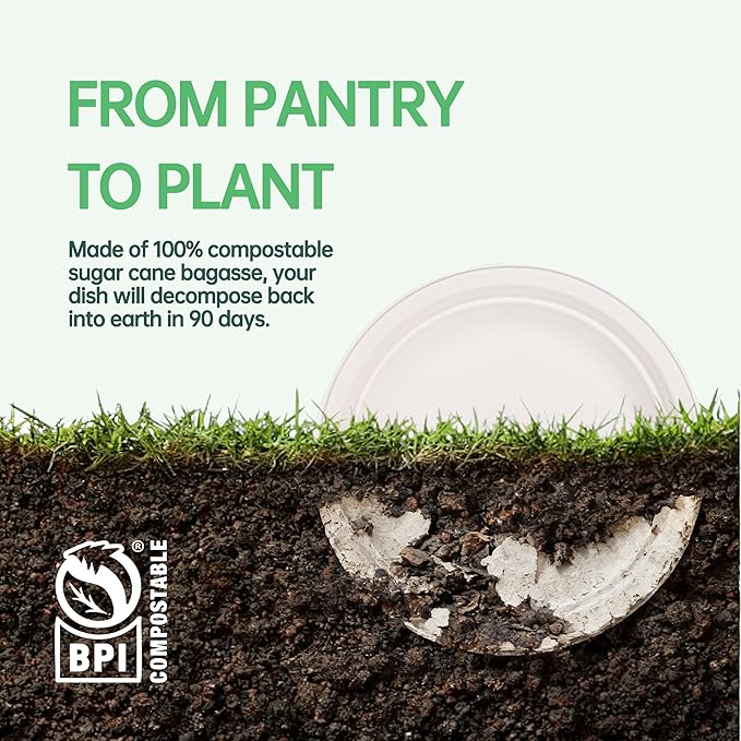 DaYammi 100% Compostable Paper Plates 9 Inch, 125-Pack Heavy Duty Paper Plates Bulk,Biodegradable Bagasse,Eco-Friendly Disposable Dinner Plate for BBQ,Picnic,Party (BPI Certified,Microwaveable)
