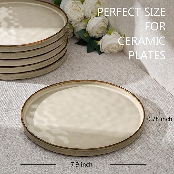 LIANYU 7.9 Inch Dessert Plates Set of 6, Ceramic Dinner Plates Dishes Set for Kitchen, Porcelain Serving Salad Plate, Chip & Scratch Resistant, Microwave, Oven and Dishwasher Safe, Sandy Beige