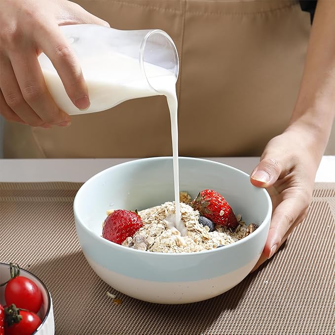 AISBUGUR Cereal Bowls Set of 4, 26oz Large Soup Bowls for Kitchen, Ceramic Serving Bowls for Oatmeal, Salad, Pasta, Soup, Dessert, Dishwasher & Microwave Safe, Blue