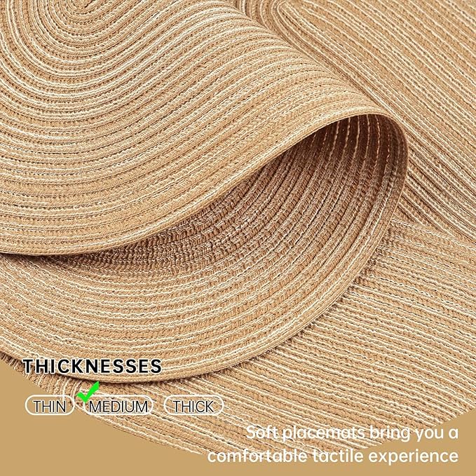 Noctiflorous Oval Braided Placemats Set of 6 Woven 12x18 Inch Non Slip Washable Heat Resistant Place Mats Round Tablemats for Dining Kitchen Party Daily Table Decor Dinner Mats (Beige Brown, 6)