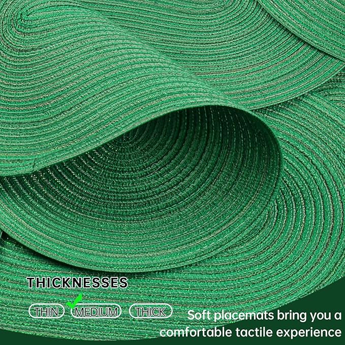 Noctiflorous Oval Braided Placemats Set of 6 Woven 12x18 Inch Non Slip Washable Heat Resistant Place Mats Round Tablemats for Dining Kitchen Party Daily Table Decor Dinner Mats (Green Shine, 6)