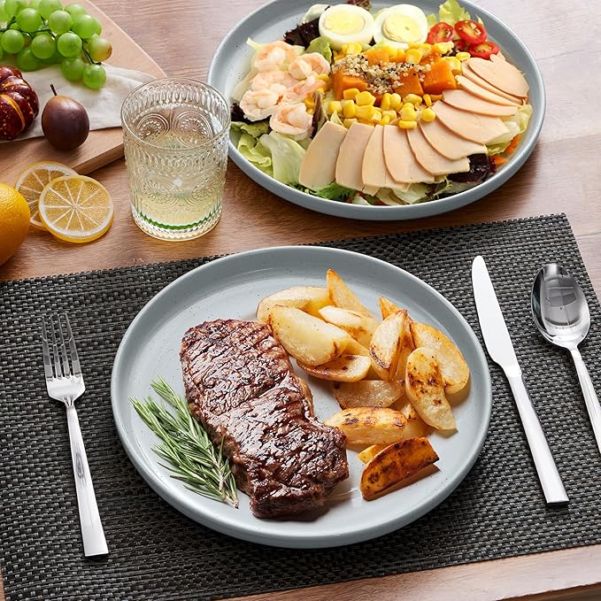 LIANYU 6Pcs Stoneware Dinner Plates, 10.5 Inch Large Porcelain Plates Set, Kitchen Ceramic Serving Dishes Set for Dining, Microwave, Oven & Dishwasher Safe, Scratch Resistant, Glacier Gray
