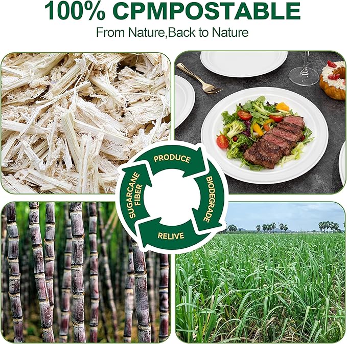 DaYammi 100% Compostable Paper Plates 9 Inch, 125-Pack Heavy Duty Paper Plates Bulk,Biodegradable Bagasse,Eco-Friendly Disposable Dinner Plate for BBQ,Picnic,Party (BPI Certified,Microwaveable)