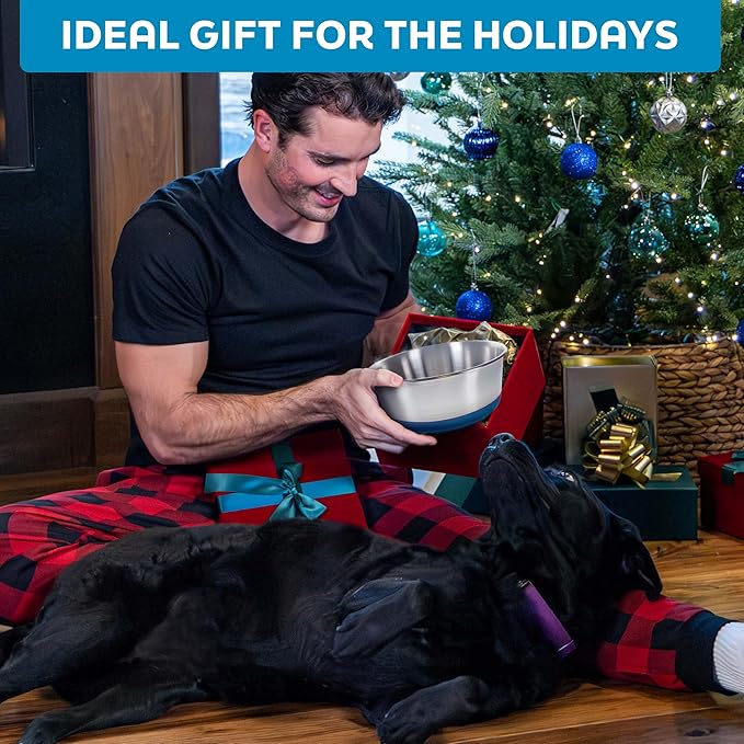 Master Pet Supply Stainless Steel Dog Bowls Set of 2 with Extra Thick Silicone Base - 2 Cup (16 oz) Hyper Pink, Non-Slip, Dishwasher Safe Metal Bowls, Pet Dog Food Bowl for Dogs, Cats, Anti Rust